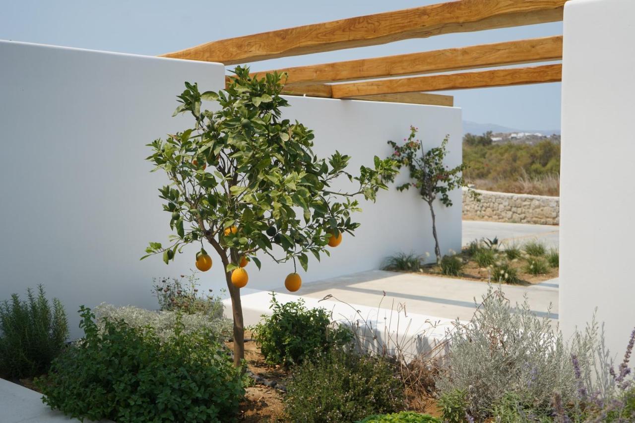 Alio Naxos Luxury Suites Ájosz Jeórjosz Kültér fotó