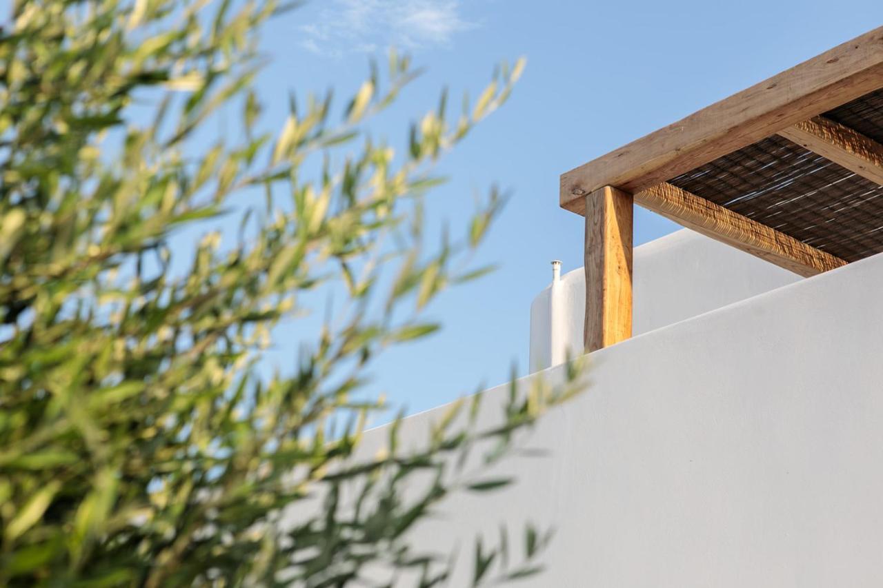 Alio Naxos Luxury Suites Ájosz Jeórjosz Kültér fotó