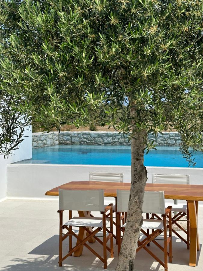 Alio Naxos Luxury Suites Ájosz Jeórjosz Kültér fotó