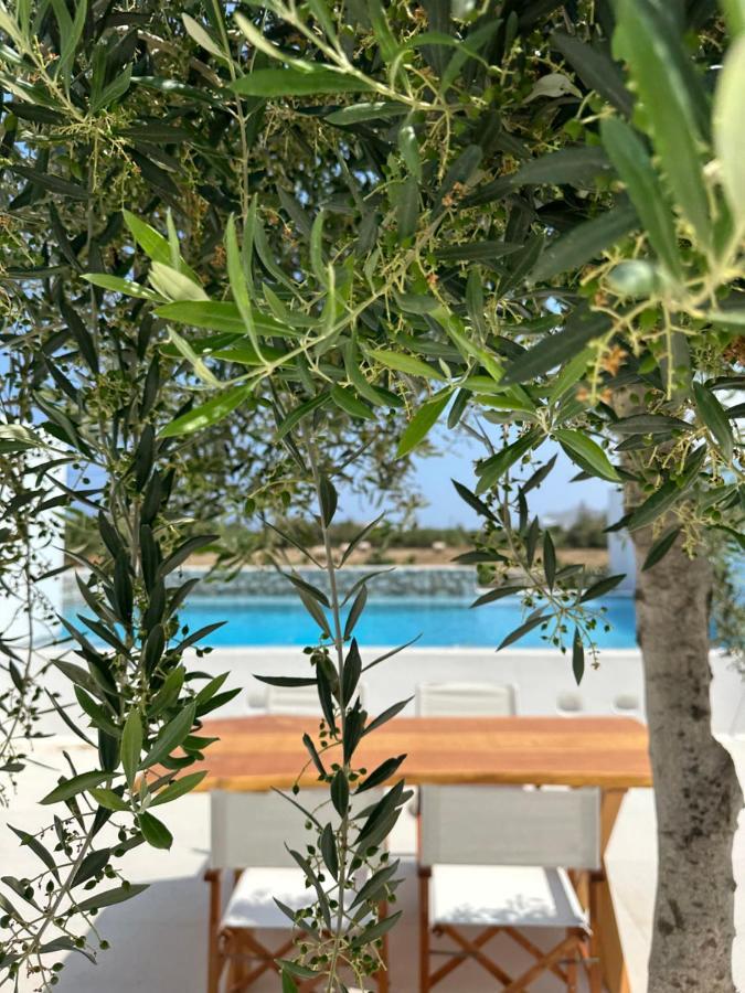 Alio Naxos Luxury Suites Ájosz Jeórjosz Kültér fotó