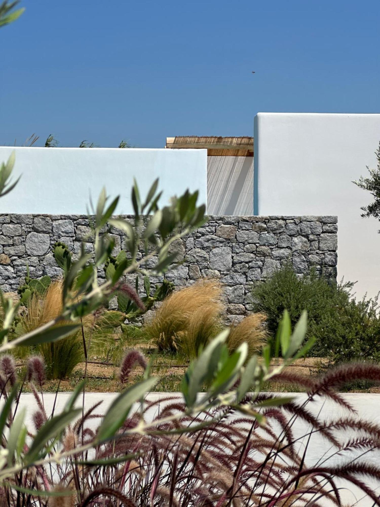 Alio Naxos Luxury Suites Ájosz Jeórjosz Kültér fotó