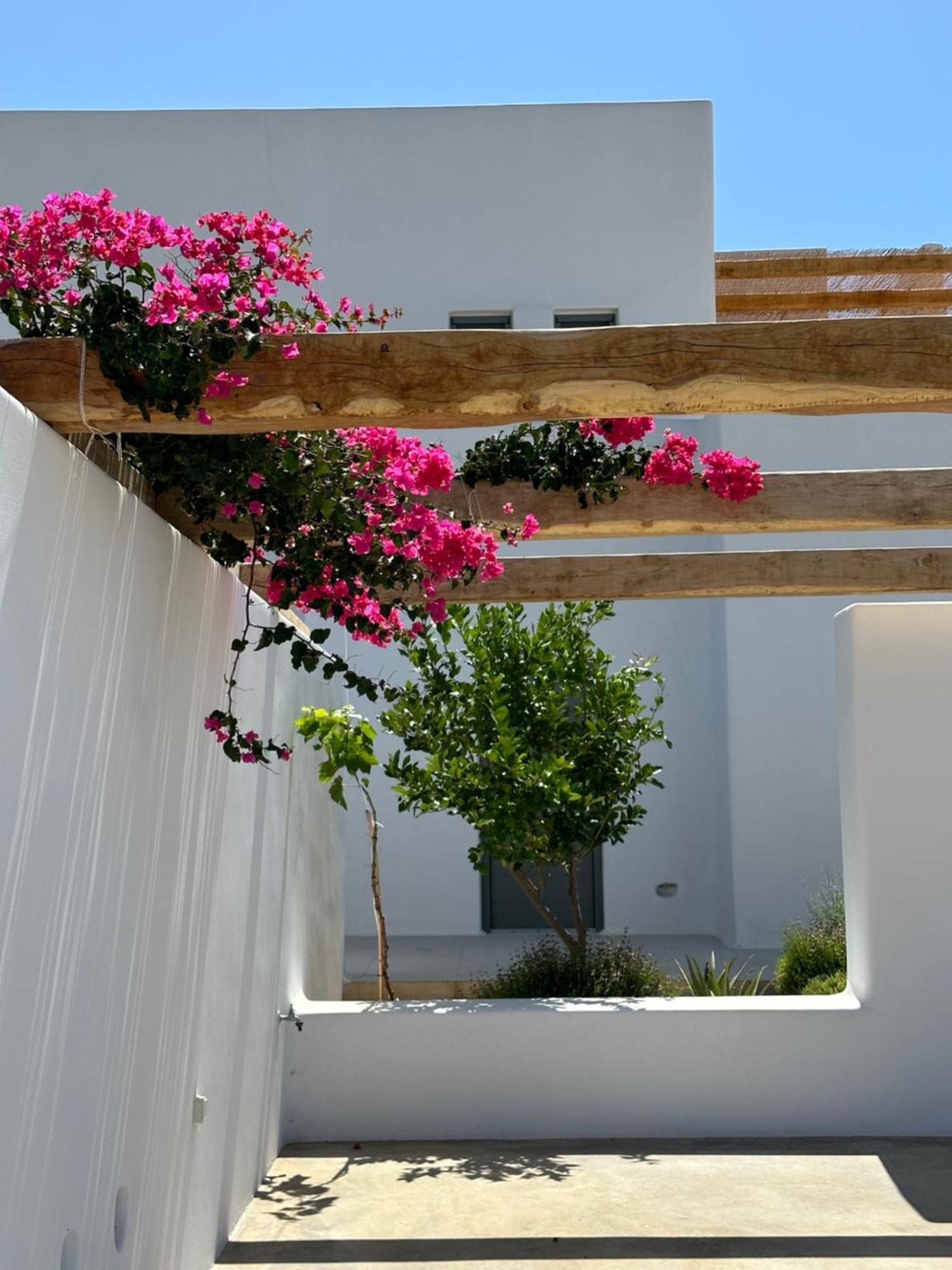 Alio Naxos Luxury Suites Ájosz Jeórjosz Kültér fotó