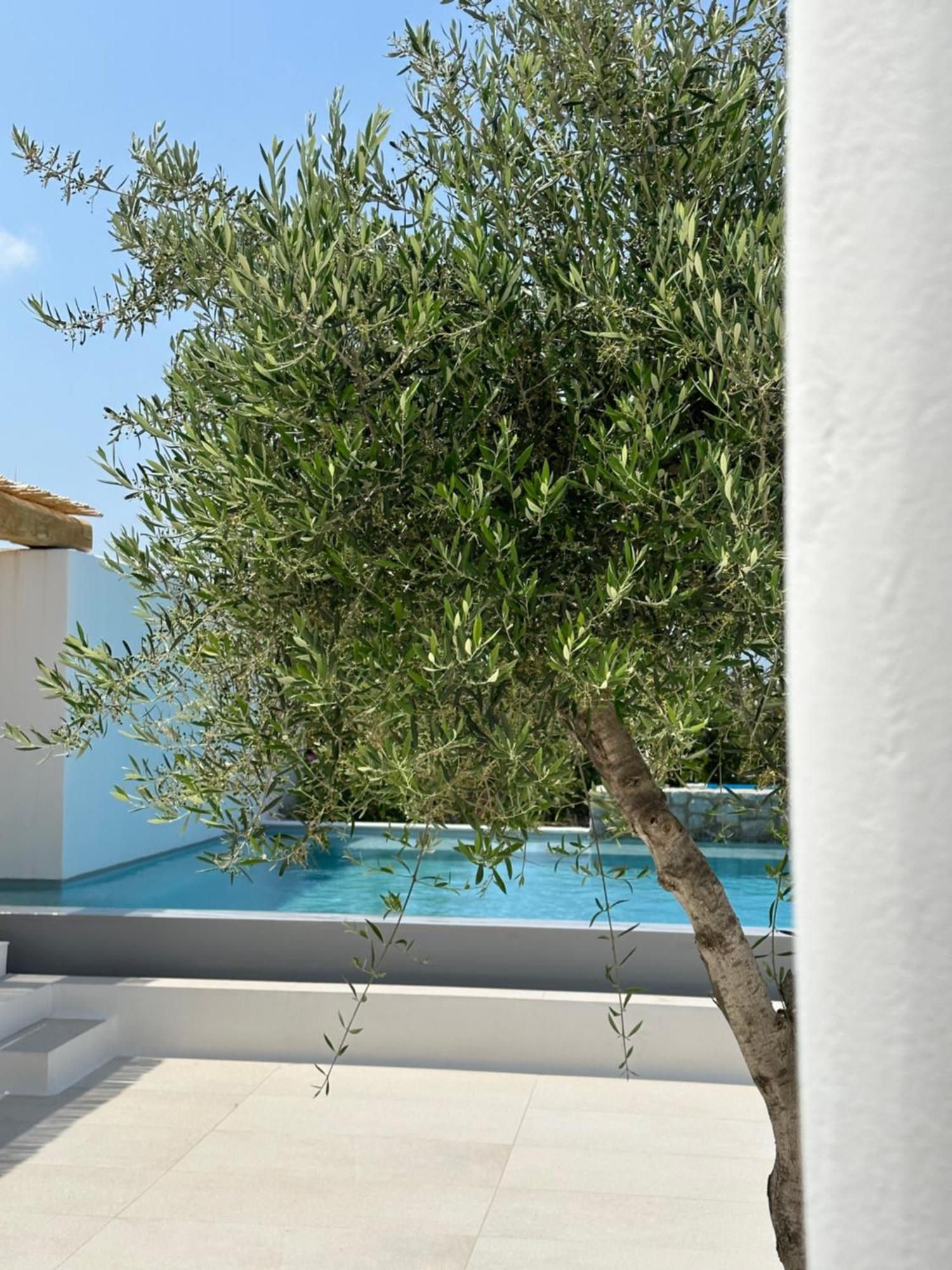 Alio Naxos Luxury Suites Ájosz Jeórjosz Kültér fotó