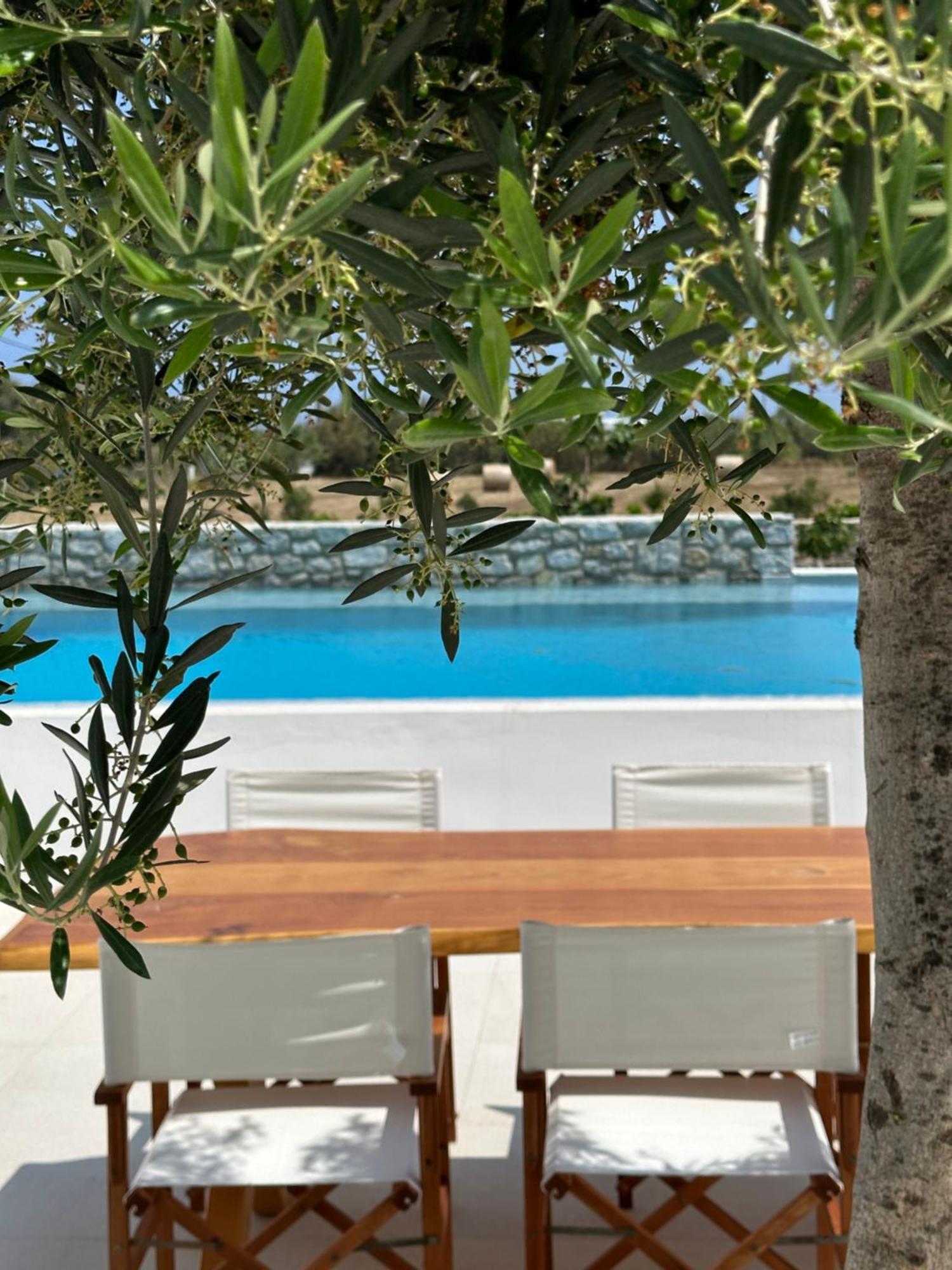 Alio Naxos Luxury Suites Ájosz Jeórjosz Kültér fotó