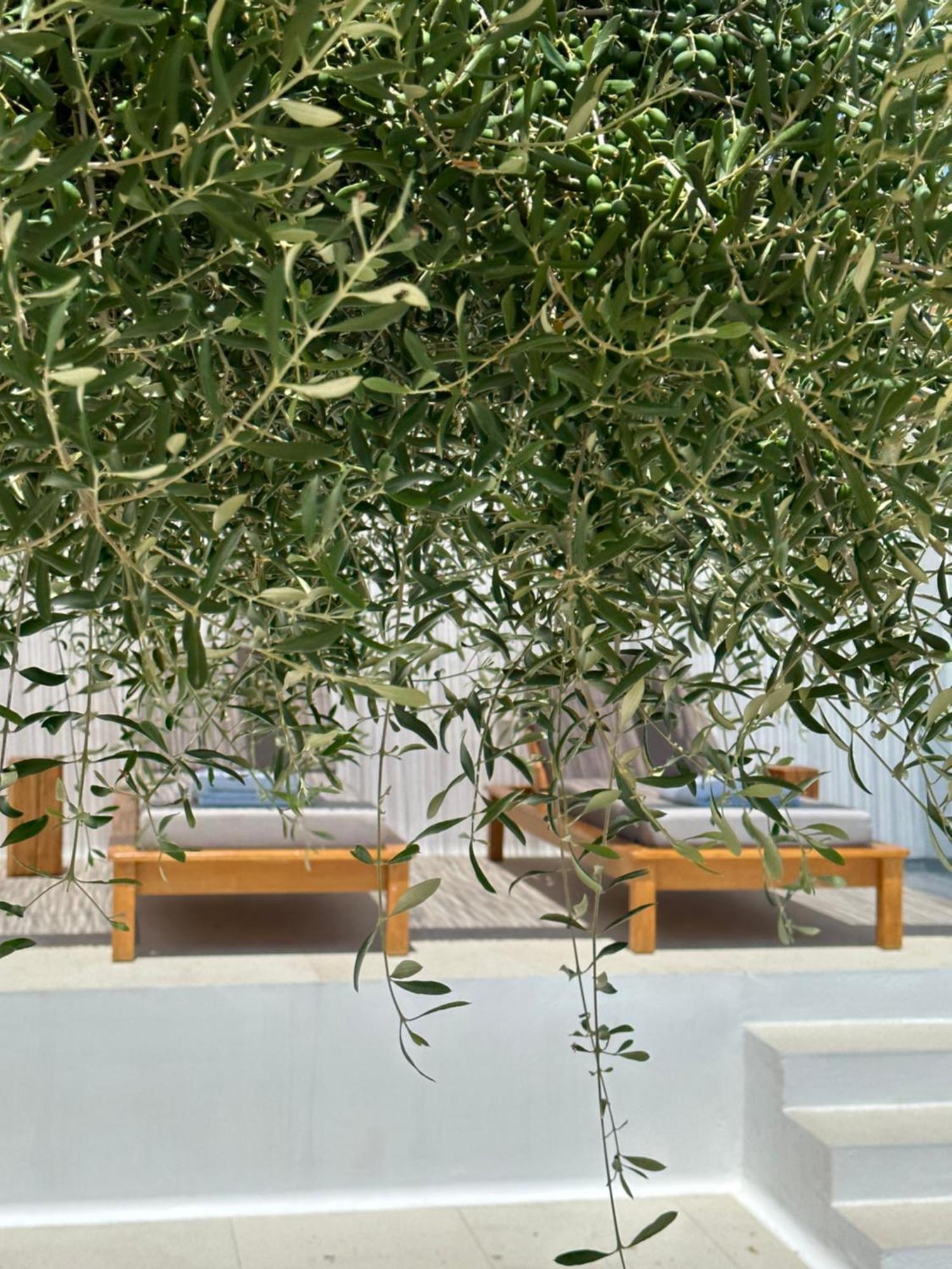 Alio Naxos Luxury Suites Ájosz Jeórjosz Kültér fotó